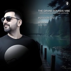 TGSV Guests #27 - DJ Cantona