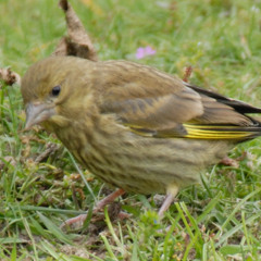 2025 07 19 BBC radio London