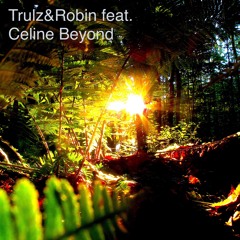 Trulz&Robin feat. Celine Beyond -  The Present