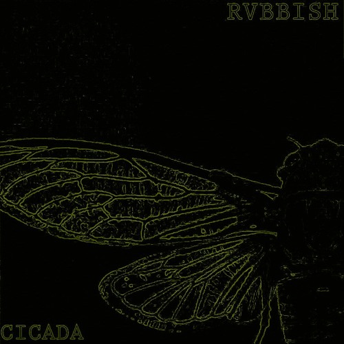 RVBBISH-CICADA