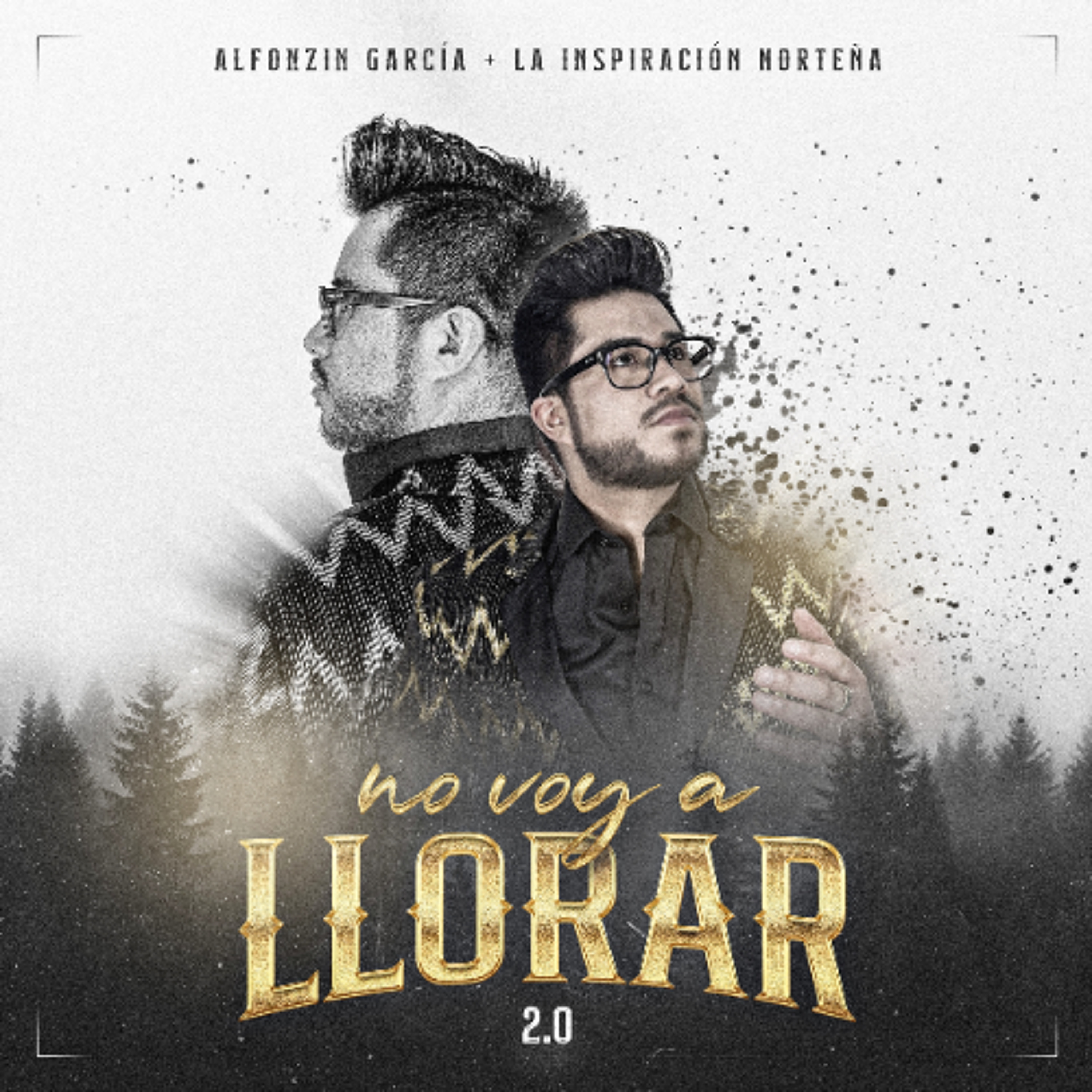 Alfonzin García x La Inspiración Norteña - No Voy a Llorar 2.0 (2025) episode artwork