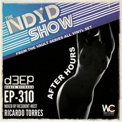 The NDYD Radio Show EP310 - After Hours all vinyl set