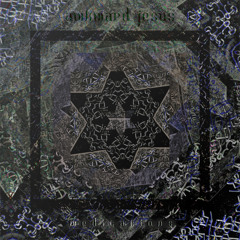 05 A Glimpse Of The Fairy Orchard