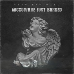 Microwave Just Barked