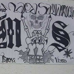 MS13PVLS,HLS...VESTIAS ACTIVADAS