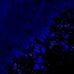 High by Isabel larosa (unreleased)