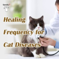 Cat Diseases Healing Frequencies | Spooky2 Rife Frequency for Pets, Feline Health