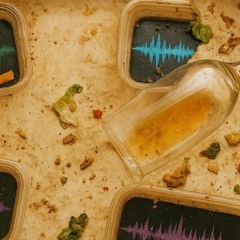 _loop_19_111220250420