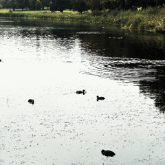 Fragility