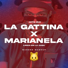 Artie 5ive, Lirico En La Casa - LA GATTINA X MARIANELA (maronsdj Mashup) FREE DL