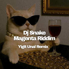 Dj Snake - Magenta Riddim(Yigit Unal Remix)