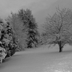 deftones - digital bath(sped up)