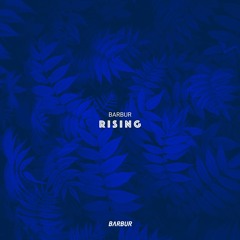 BRM PREMIERE: Barbur - Rising (Original Mix) [Barbur Music]