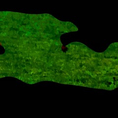 Vekselfuck - Celebrity Mix