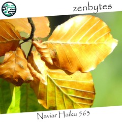 autumn wind - Naviarhaiku 563