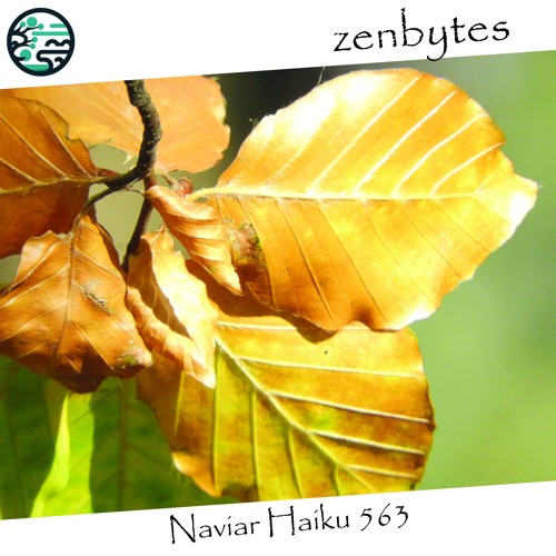 autumn wind - Naviarhaiku 563