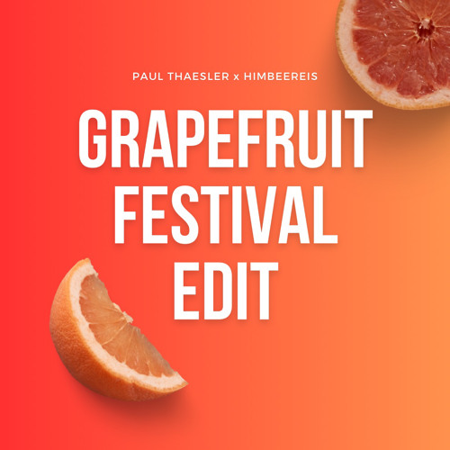 FESTIVAL EDIT 2024 PAUL THAESLER x HIMBEEREIS