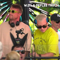 WDL & DEFLEE @ TRIP Music FESTIVAL 2024 BSM | Indie Dance, Tech House