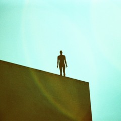 Secret Life Of A Black Bird