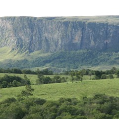 Awakening on the High Fields