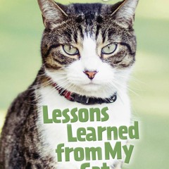 Chicken Soup for the Soul: Lessons Learned from My Cat: 101 Tales of Friendship and Fun - Amy Newmar