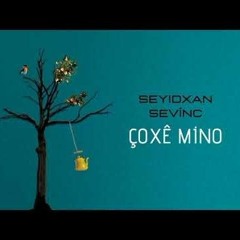 Seyidxan Sevinc-Coxe Mino