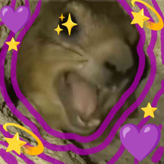 kissmyawawa
