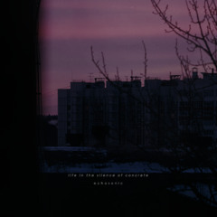 Life in the Silence of Concrete