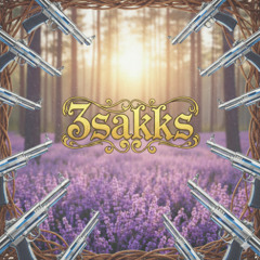 3sakks - Blitz!