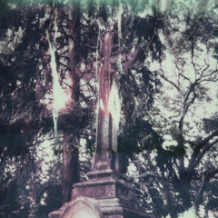 you'll just forget (demo -11)