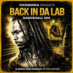 Back in da Lab (Dancehall mix) 2026 - Vicksmoka