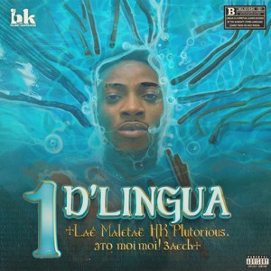 D'Lingua 1