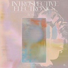 Introspective Electronics w/ Avsluta x Netil Radio | January 22