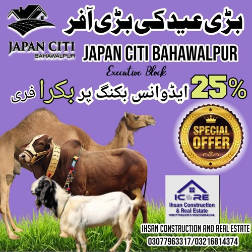 Eid Adha Special Offer - 03077963317