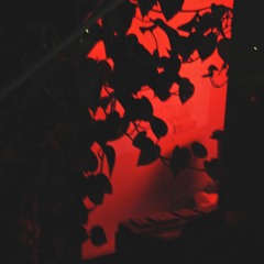 Choker - Frame (Matt Sterling Remix)