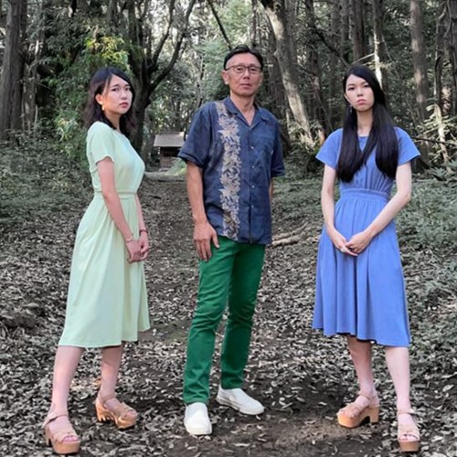 Stream 【Delights】CAMOUFLAGE カモフラージュ | YMO COVER