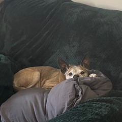 Stream of Consciousness | 2024.10.04