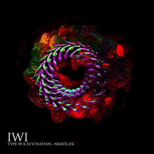 TYPE 99 & D1V1NAT1ON - Nightlife [IWI23]