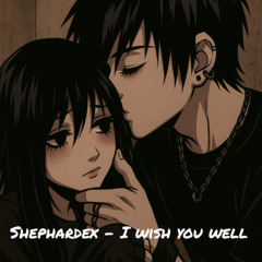 Shephardex - I wish you well (Original Mix)