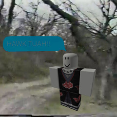 hawk tuah EXCLUSIVE ft rainmare