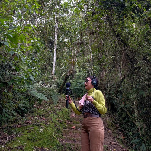290724 / Listen Fauna / Milagros / ANP PNYCH