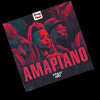 AMAPIANO VIBES 5.0 | KRAZYMIX