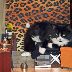 From the Depths of Soundcloud