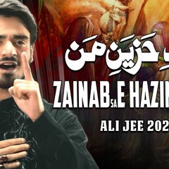 Zainab E Hazin E Man Ali Jee 2020