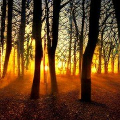 you looked trashy at homecoming (prod. onlyrealcash X varela katana)