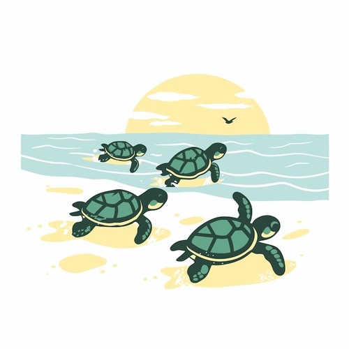 I Really Wish I Never Could Have Loved You-Turtle Taps [IG: turtle_laughs]