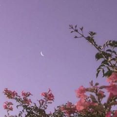 New private playlist