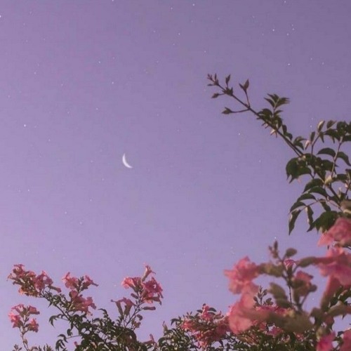 New private playlist