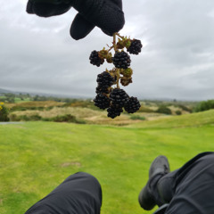 September vibes (deep house, progressive house, house, melodic techno)