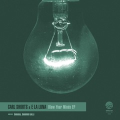 2. Carl Shorts, E La Luna - Psychotic Tendencies (Original Mix)